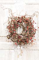 Wreath with intertwining of branches of Corylus avellana and Rosa 'Zaffiro' - Rosehips, hanging on a door