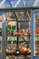 Greenhouse with autumn squashes, pumpkins and potted vegetables