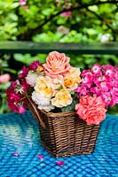 A basket of fresh roses arranged in basket in the garden.

