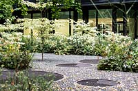 Courtyard garden with cornus controversa 'variegata', gingko biloba, magnolia grandiflora, myerus communis, hydrangea paniculata, begonia, anemone