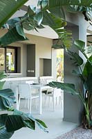 View through Strelitzia nicolai - Bird of Paradise - foliage to outdoor kitchen linked to house with table and chairs
