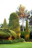 Large topiary forms
