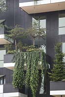 Bosco Verticale - Vertical forest. Trees and trailing plants grow from balcony of residential block. 