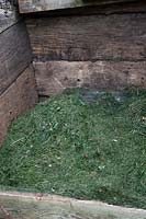 Grass clippings on a compost heap. 