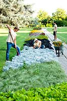 Young students gardening. 