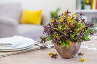 Spring table centrepiece made with Holy, Witch Hazel and Hebe 'Caledonia'