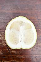 Citrus medica maxima - Citron - cut to show thick rind 

