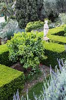 Looking down on Citrus with hedging around at edge of terrace, statue behind 