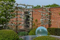 View across Aqualens water feature with Buxus sempervirens - Box - to a screen of free-standing Malus 'Evereste' - Crabapple pleached trained espaliers in blossom, brick wall with entrance gate