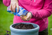 Planting up a container of bedding plants, measuring amount of compost by using a 1 litre pot to fill then calculating how much slow release fertiliser to add