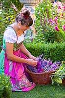 Woman wearing a dirndl, in a garden with basket of harvested herbs and flowers for homemade products such as cosmetics, drinks, medicine etc