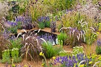 Prairie-style planting which includes: Allium sphaerocephalon, Pennisetum setaceum rubrum, Lavandula angustifolia 'Hidcote' - English Lavender and Agapanthus albidus, in centre a square pond 