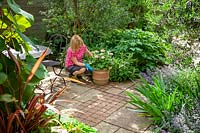 Placing a terracotta pot of geraniums on a patio for the summer