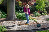 Sweeping fallen leaves off wooden decking with a brush in early autumn to prevent it getting slippy