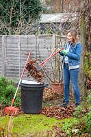 Picking up fallen leaves off paths with a leaf grabber and rake in order to make leaf mould.