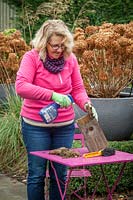 Clearing out and cleaning a bird box at the beginning of winter. Spraying with Jeyes fluid.