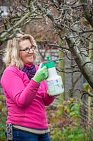 Spraying an apple tree with winter wash to reduce pests and diseases.