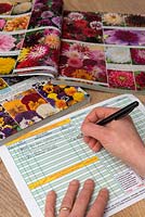 Filling in handwritten order form for mail order flowers from a printed catalogue 