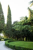 Entrance with specimen trees such as Cupressus sempervirens - Cypress 
