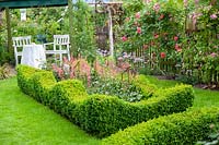 View of seating area and box edged beds filled with Heuchera. Rosa 'Rosarium Uetersen' framing a lattice fence