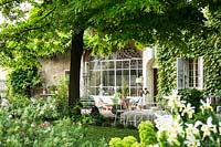 view over flowerbed and tree to the facade of the house covered with Parthenocissus tricuspidata 'Veitchii' - Boston Ivy, furniture on gravel drive 