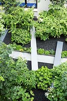 A glimpse seen from above in the office garden with parallelepipeds which cross the water channel between hydrangeas and pittosforus