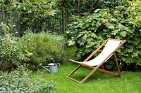 Deckchair on lawn in a small garden, Hydrangea quercifolia nearby
