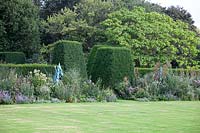view across lawn to flower borders in front of unclipped Taxus - Yew - topiary 