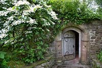 Secret wooden door to a stone folly 