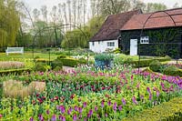A formal garden with box edged beds Buxus and mixed tulips in Spring. 