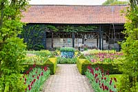 View across formal garden with Tulipa 'Jan Reus' and box edged beds Buxus to black barn.