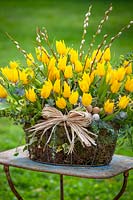 Basket of yellow tulips, pussy willow and ivy with raffia and eggs
