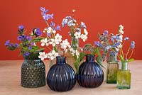 A collection of clear and blue glass vases filled with blue or white spring flowers incuding: Lungwort - Pulmonaria, cherry blossom, Blue Bells, Borage and Forget-me-nots.