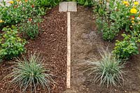 An overview of a bed demonstrating the positive effect of mulching at the start of a trial.
