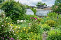 View of walled garden with wide range of herbaceous perennials including: Geranium, Paeonia, Alchemilla, Hemerocallis and Gilenia trifoliata, greenhouses beyond 