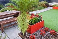 Modern Town Garden - wooden table and benches, red planters with gerbera and tree fern