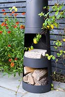 Modern Town Garden in Essex - black wood burner