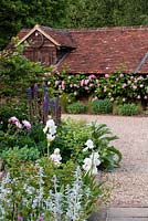 View across the edge of a flower bed towards the driveway and a large outbuilding with Rosa - Climbing Rose