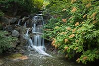 Waterfall and pond