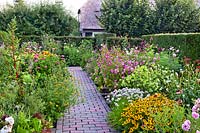 Paved path going through mixed summer borders. 