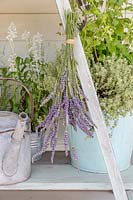 Bunch of lavender hanging to dry from ladder shelving unit