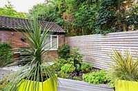 Small Modern Garden with Cordyline in yellow pot