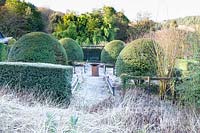 View of formal garden, with large mounds of Osmanthus burkwoodii and central bird bath.