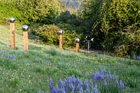Camassaia leichtlinii in sloping meadow with avenue of wooden columns topped with stainless steel globes. 