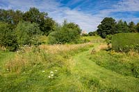 The wild meadow area with mown path, wildflowers include Daucus carota - Wild Carrot, Centaurea scabiosa - Greater Knapweed and Heracleum sphondylium - Hogweed