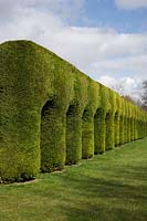 Leylandii colonnade at Chippenham Park Gardens.