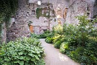 Sunlight shafting down through the castle ruin to beds, plants include Kirengeshoma palmata, Hakonechloa macra and ferns