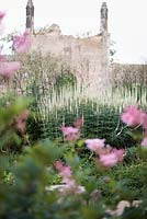 Filipendula rubra 'Venusta' with Veronicastrum virginicum 'Spring Dew' at Lowther Castle