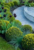 Clipped Box spheres, Grasses and Tulips surrounding raised circular paving area - RHS Malvern Spring Festival