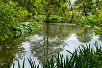 Reflections in the still waters of lake, with waterside area of  Petasites japonicus var. giganteus - Japanese Butterbur - and dinghy on distant bank - NGS Open Garden, Iken, Suffolk